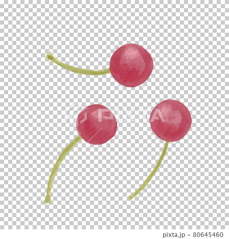 Hand-painted colored pencils, autumn nuts, pepperberry illustration 80645460
