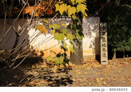 会津墓地参道 会津墓地参道 80646045
