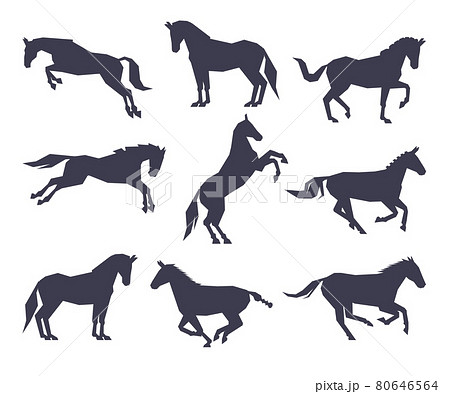 Side View of Racing Horse Silhouettes Set, Equestrian Sport, Derby Vector Illustration 80646564
