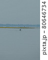 Greece, Lake Kerkini, Flamingo standing in the middle of the water 80646734