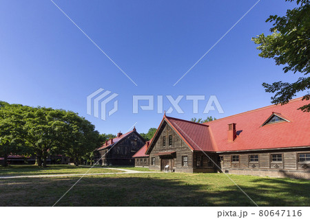 札幌農学校第2農場、北海道大学 札幌農学校第2農場、北海道大学 80647116