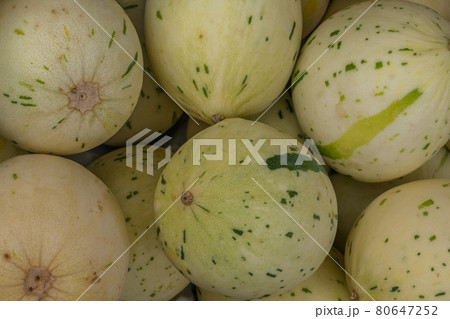 Sweet juicy mini watermelon 80647252
