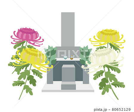 墓石　神道　菊の花 80652129