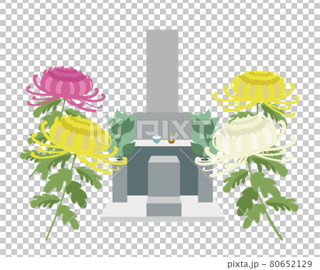 墓石　神道　菊の花 80652129