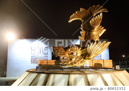 名古屋城金鯱展 80652352
