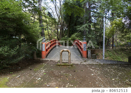 栃木県小山市の城山公園(祇園城跡)にある祇園橋 栃木県小山市の城山公園(祇園城跡)にある祇園橋 80652513