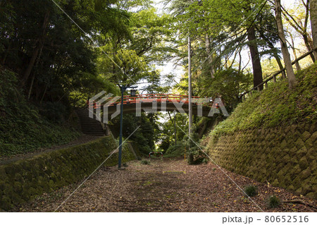 栃木県小山市の城山公園(祇園城跡)にある祇園橋 栃木県小山市の城山公園(祇園城跡)にある祇園橋 80652516