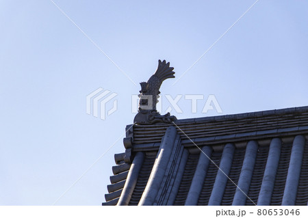 甲府城跡内にある武徳殿のシャチホコ 80653046