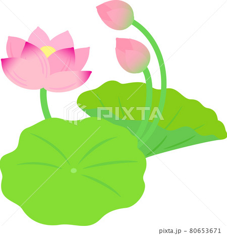 蓮の花と葉のデコレーションイラストのイラスト素材 蓮の花と葉のデコレーションイラストのイラスト素材