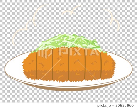 キャベツの千切りが盛り付けられた とんかつのイラストのイラスト素材