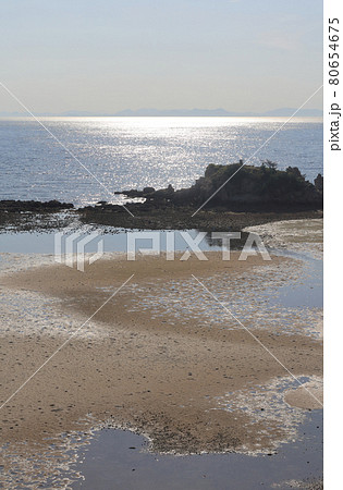 浦島太郎が亀を助けた謂れの「鴨之越海岸」(弁天岩) 浦島太郎が亀を助けた謂れの「鴨之越海岸」(弁天岩) 80654675