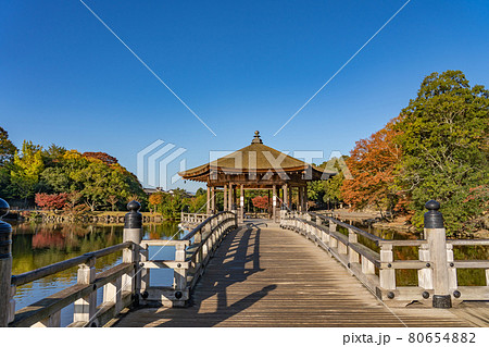 奈良県奈良市奈良公園内 紅葉の美しい鷺池に浮かぶ浮見堂 奈良県奈良市奈良公園内 紅葉の美しい鷺池に浮かぶ浮見堂 80654882