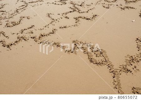 Ghost crab footprints on a flat wet sands. Nature art. Iriomote Island. Ghost crab footprints on a flat wet sands. Nature art. Iriomote Island. 80655072