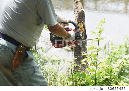 環境整備・河川敷の伐採作業 80655425