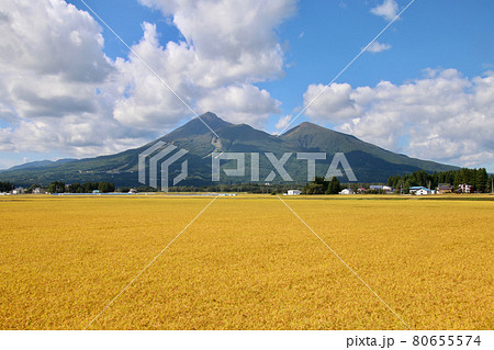 稲穂と磐梯山（福島県・猪苗代町） 80655574
