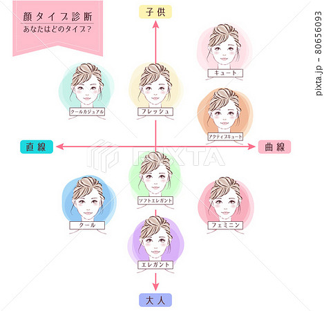 顔タイプ診断 顔タイプ診断 80656093