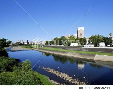 熊本の河川 夏の白川と熊本大学黒髪南キャンパス (熊本市中央区) 熊本の河川 夏の白川と熊本大学黒髪南キャンパス (熊本市中央区) 80656244