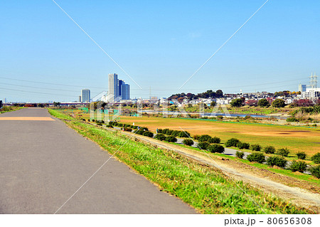 等々力緑地付近より新多摩川大橋(第三京浜)、二子玉川方面を望む(神奈川県川崎市)【2020.11】 等々力緑地付近より新多摩川大橋(第三京浜)、二子玉川方面を望む(神奈川県川崎市)【2020.11】 80656308