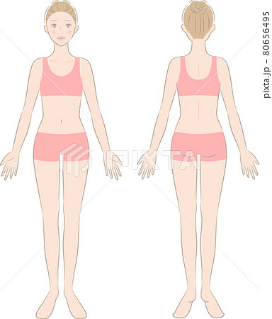 女性 全身 正面と後ろ姿のイラスト素材