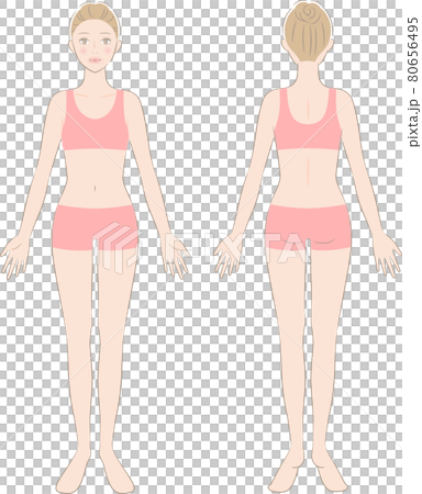 女性 全身 正面と後ろ姿 女性 全身 正面と後ろ姿 80656495