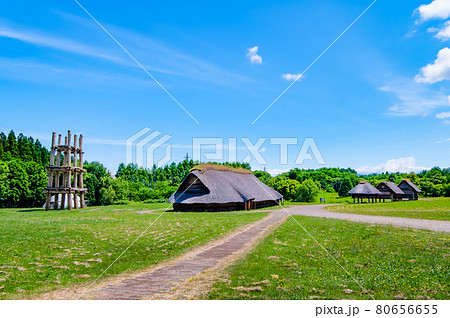 青森県 三内丸山遺跡　大型竪穴式住居と六本柱建物 80656655
