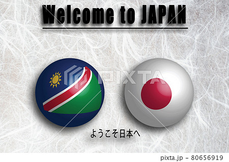 ナミビア(英語) ようこそ日本へ 80656919