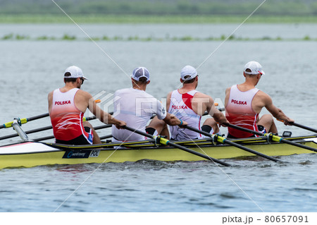 オールを漕ぐアスリート男子のクオドルプルレガッタ 80657091