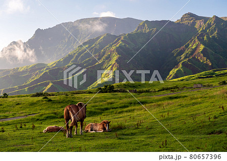 青空と白い雲阿蘇の五岳の見える風景 80657396