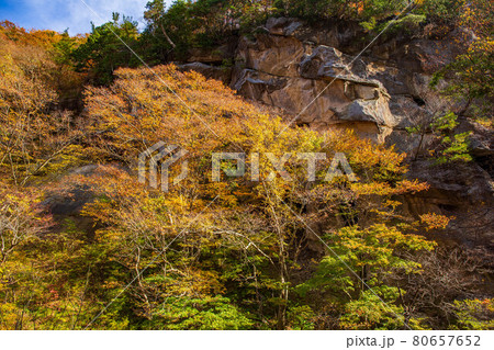 山形面白山高原の秋　紅葉の面白山紅葉川渓谷 80657652
