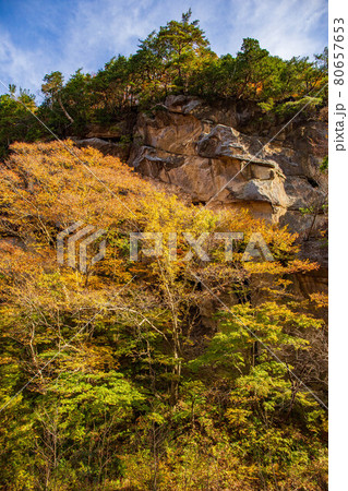 山形面白山高原の秋　紅葉の面白山紅葉川渓谷 80657653