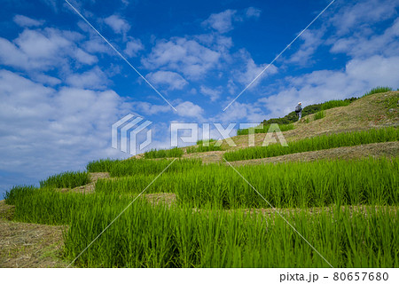 能登・白米千枚田 80657680