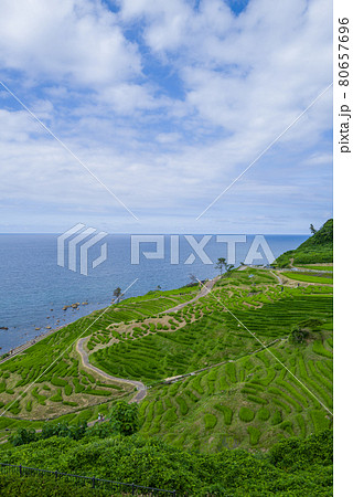 能登・白米千枚田 80657696