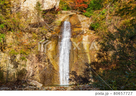 山形面白山高原の秋　紅葉の面白山紅葉川渓谷　霰滝 80657727