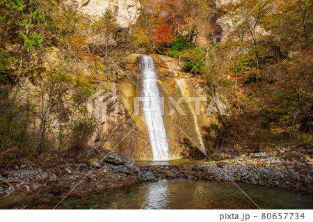 山形面白山高原の秋　紅葉の面白山紅葉川渓谷　霰滝 80657734
