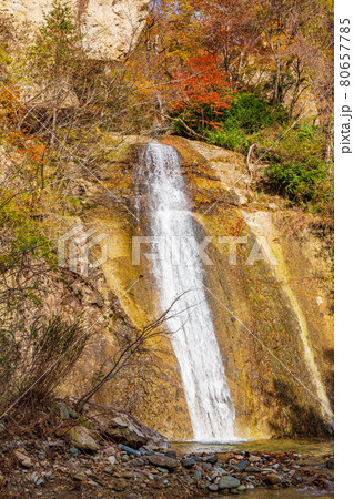山形面白山高原の秋　紅葉の面白山紅葉川渓谷　霰滝 80657785
