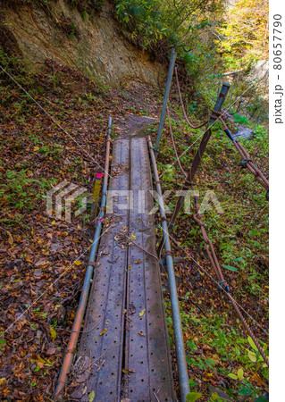 山形面白山高原の秋　紅葉の面白山紅葉川渓谷　危険な橋 80657790