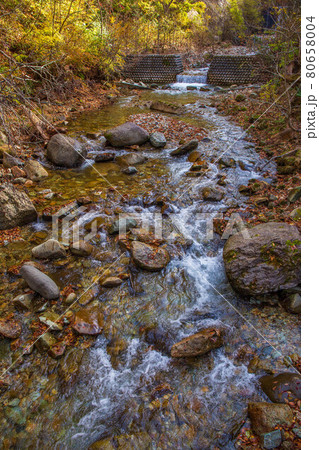 山形面白山高原の秋　紅葉の面白山紅葉川渓谷 80658004