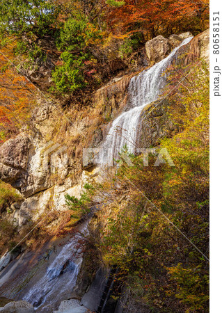 山形面白山高原の秋 紅葉の面白山紅葉川渓谷 藤花の滝 山形面白山高原の秋 紅葉の面白山紅葉川渓谷 藤花の滝 80658151