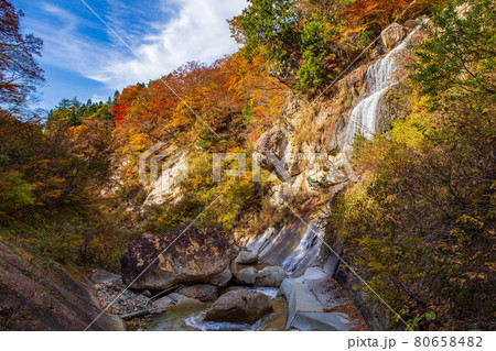 山形面白山高原の秋 紅葉の面白山紅葉川渓谷 藤花の滝 山形面白山高原の秋 紅葉の面白山紅葉川渓谷 藤花の滝 80658482
