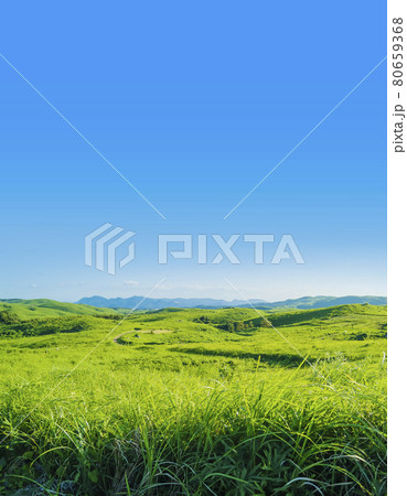 草原　カルスト台地　 秋吉台　夏　国定公園 　山口県  80659368