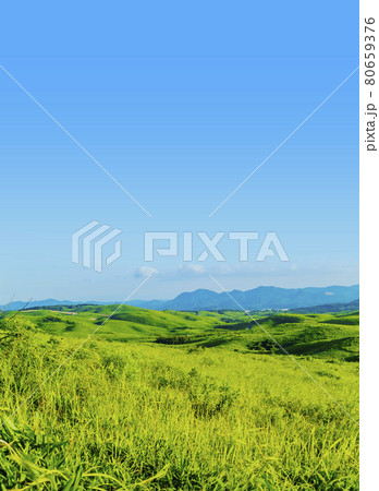 草原　カルスト台地　 秋吉台　夏　国定公園 　山口県  80659376