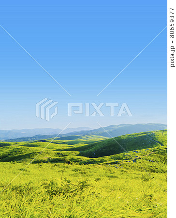 草原　カルスト台地　 秋吉台　夏　国定公園 　山口県  80659377
