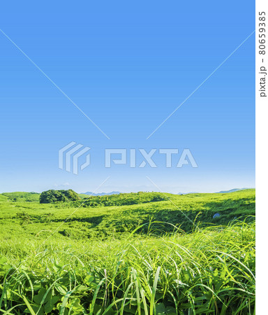 草原　カルスト台地　 秋吉台　夏　国定公園 　山口県  80659385