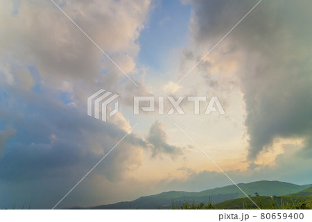草原　カルスト台地　 秋吉台　夏　国定公園 　山口県  80659400