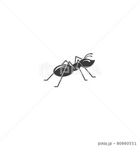 Ant Logo Ant Logo 80660551