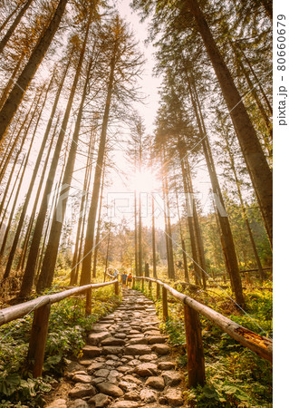 Tatra National Park, Poland. Hiking Trails In Summer Tatra Mountains Forest Landscape. Beautiful Scenic View Of European Nature In Sunset Sunrise. 80660679