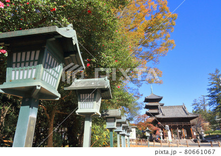 八事山興正寺　秋 80661067