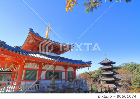 八事山興正寺　秋 80661074