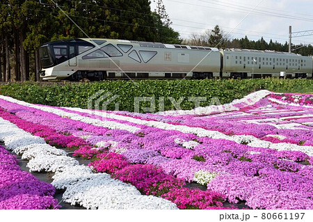 芝桜と四季島　道南いさりび鉄道札苅にて 80661197
