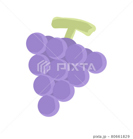 ぶどうのイラスト素材 [80661829] - PIXTA